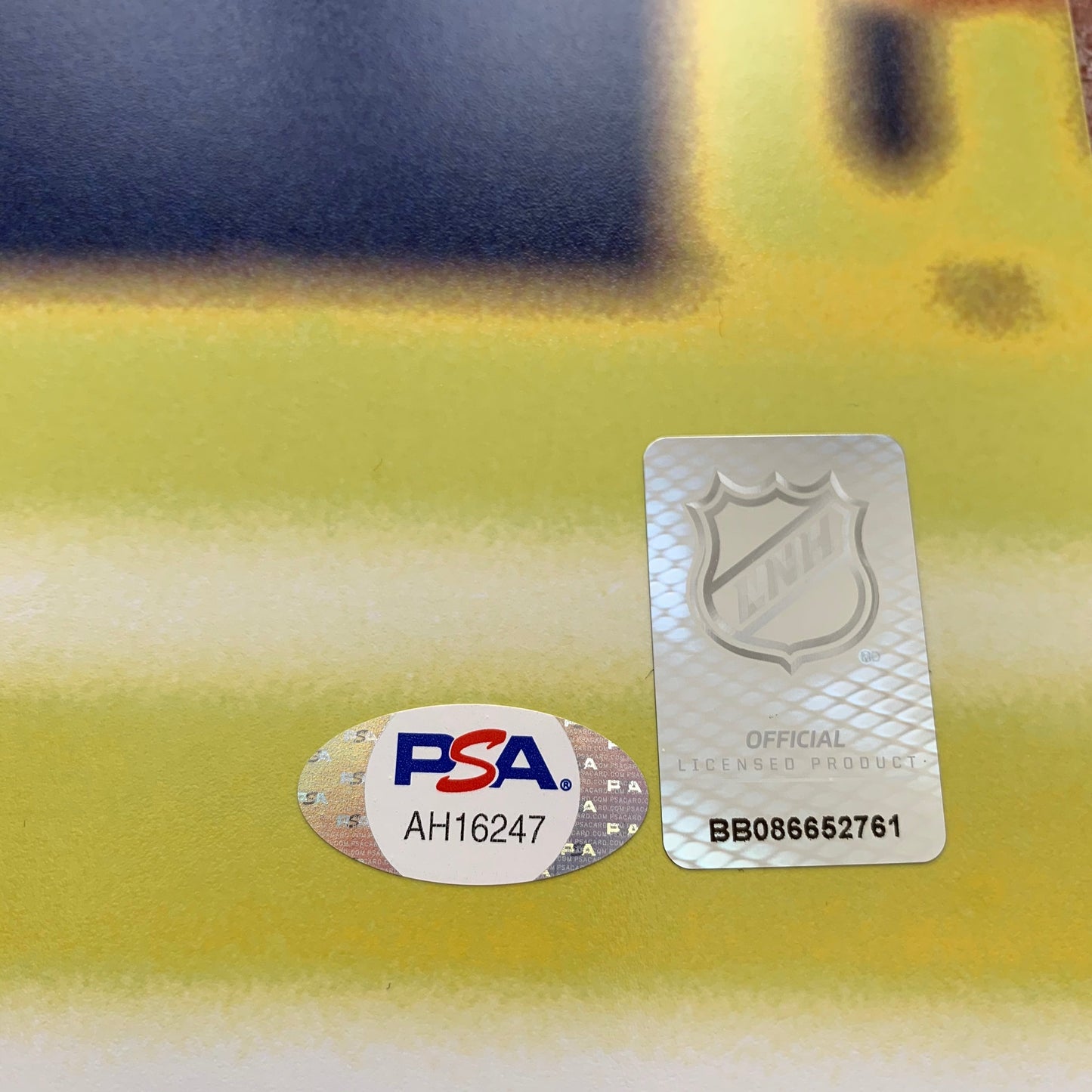 Mike Richter autographed signed 16x20 photo NHL New York Rangers PSA COA