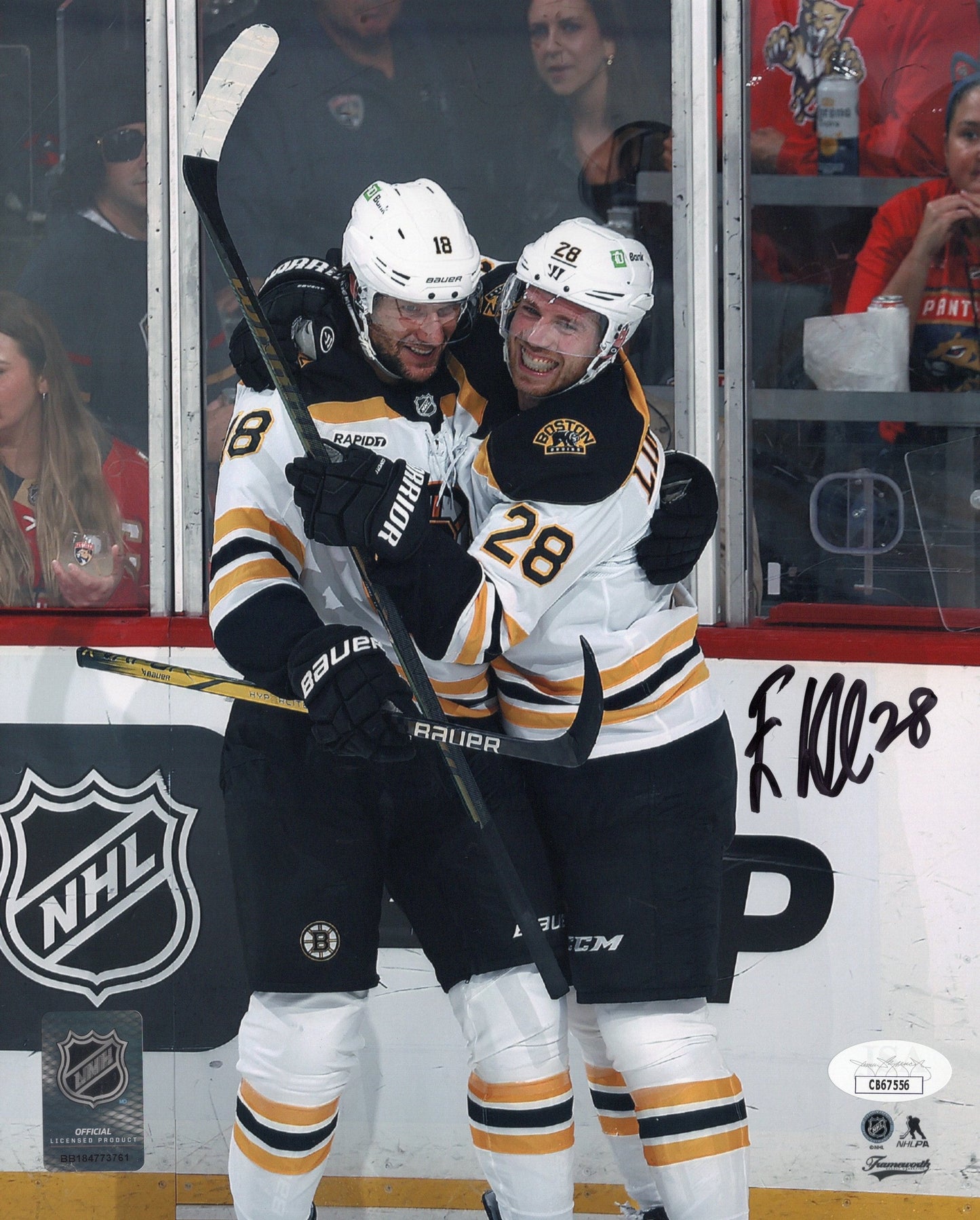 Elias Lindolm autographed signed 8x10 photo NHL Boston Bruins JSA COA