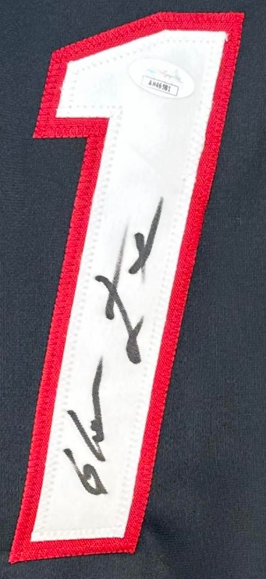 Glover Teixeira autographed signed jersey UFC JSA COA Jan Blachowicz