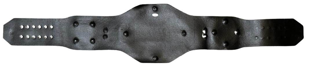 Leon Edwards autographed signed inscribed belt UFC JSA COA Rocky