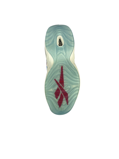 Allen Iverson autographed signed Sneaker pair Philadelphia 76er's JSA COA