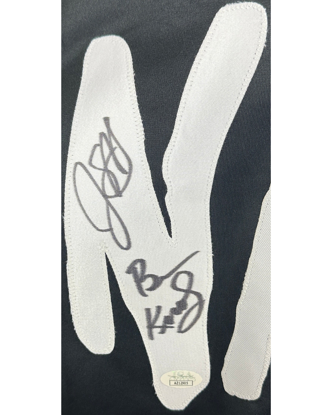 WWE WWF Nasty Boys Brian Knobbs & Jerry Sags Autographed Signed Jersey JSA COA