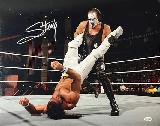 Sting Signed 16x20 Photo - JSA