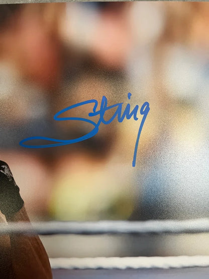 Sting Signed 16x20 Photo - JSA